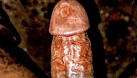 My Dick in Running Fan