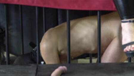 3 DOMINAS CBT, 3 DOMINAS WITH BEAUTIFUL FEET CRUSHING AND TEASING YOUR COCK HD