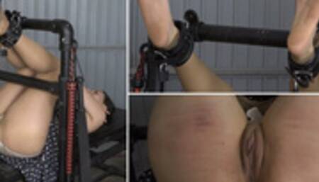 count out loud ( 1080p mp4 )