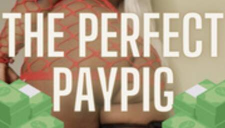 The Perfect Paypig