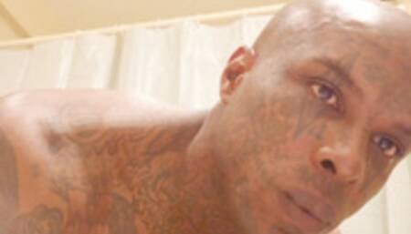 Suck On A Black Dick Hallelujah Johnson