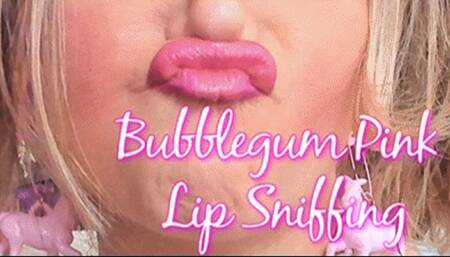 Bubblegum Pink Lipstick Lip Sniffing (HD) WMV