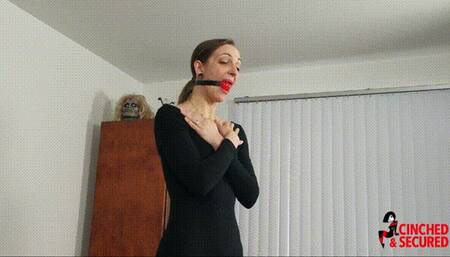 Rogue the Mindless Mummy (WMV Format)