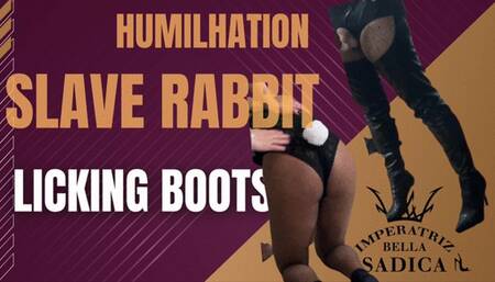 Sissy rabbit licking boots
