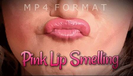 Pink Makeup Lipstick Application Lip Smelling (HD) MP4