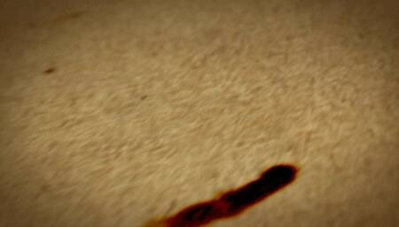 Yoga sluts sniff each other's stink with the breath of life