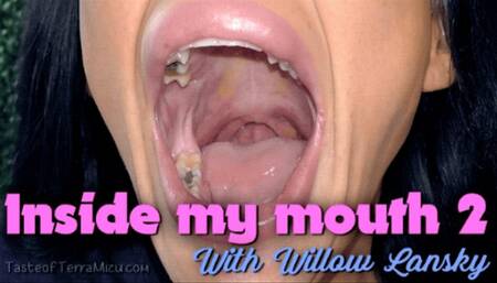 Inside My Mouth 2 - Willow Lansky - HD 720 WMV