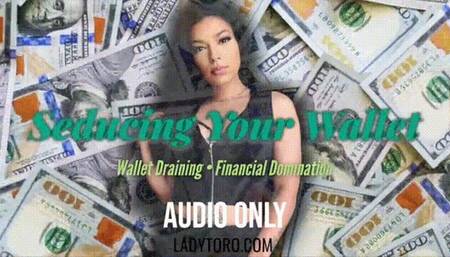 Seducing You Wallet - AUDIO ONLY