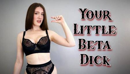 Your Little Beta Dick