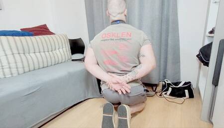 I ARRIVED FROM THE GYM SWEATING NOW SMELL MY ASS - BY THAY FLORES - FULL VERSION IN FULL HD