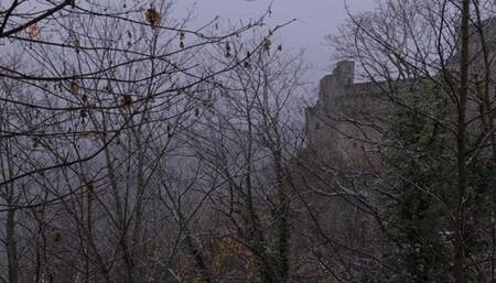 Fierce Fairy - girl put on the rack to be tickled