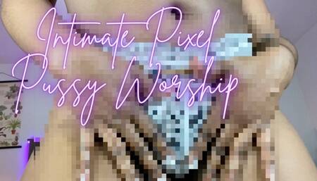 Intimate Pixel Pussy Worship