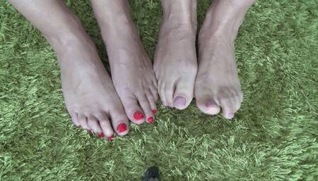 VEINS IN THE FEET AND HANDS