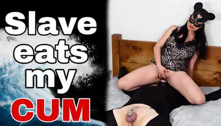 Femdom Facesitting Cum Eating Pussy Licking Ass Real Orgasms BDSM Bondage