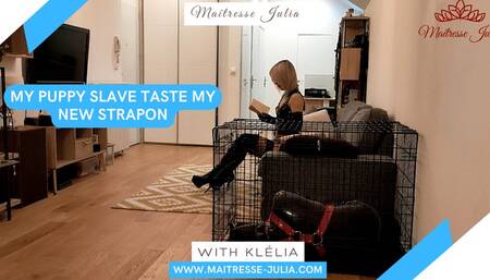 My Puppy Slave Taste my New Strapon (Latex Clothes) - Maitresse Julia