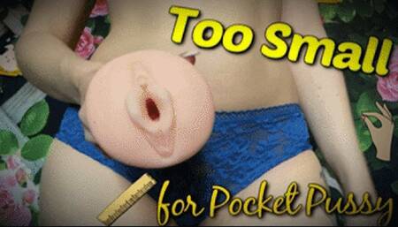 Too Small for Pocket Pussy (HD) MP4