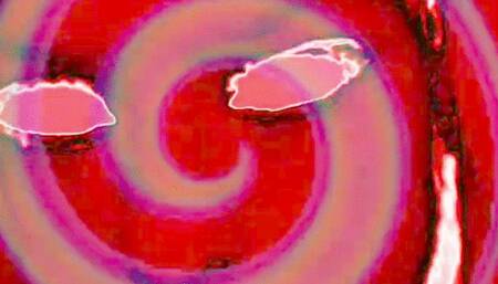 Small Cocks Are Apart of the Globalist Agenda