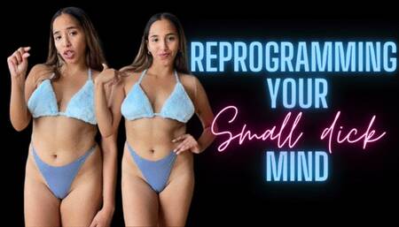 Reprogramming your small dick mind