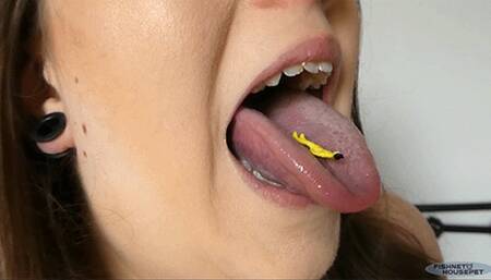 Licking My Little Man