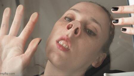 Pig nose and nostrils inspection