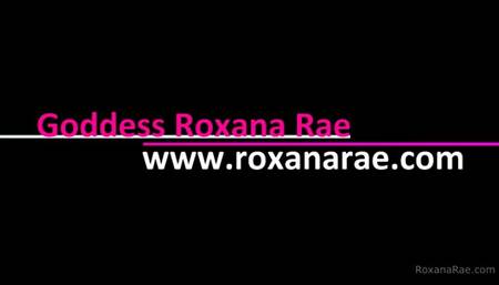 May Tiny Dick Tax 2023