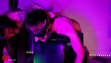 Pegged, Gagged and Drooling Uncontrollably (SD 720p)