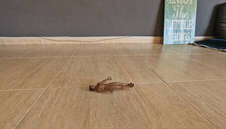 Foot bitch gets the cum stomped out of him