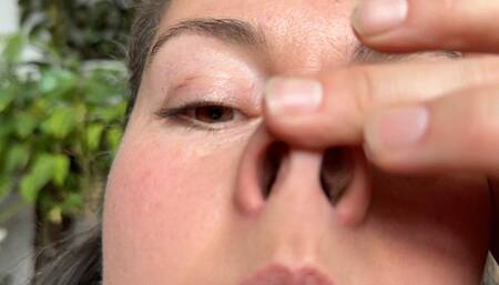 your favorite, nose like a pig wmv