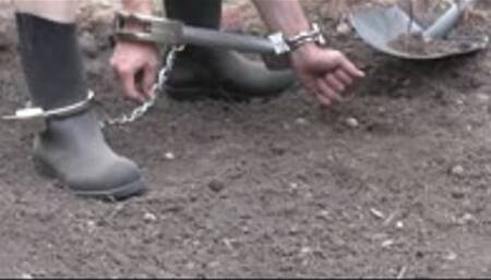 chained at work - wmv 720p