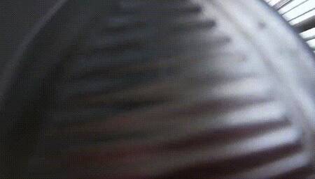 Unaware Ivory Steps On You