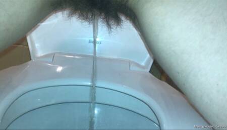 Second Desperate Bushy Pees at My Favorite Laundromat HD