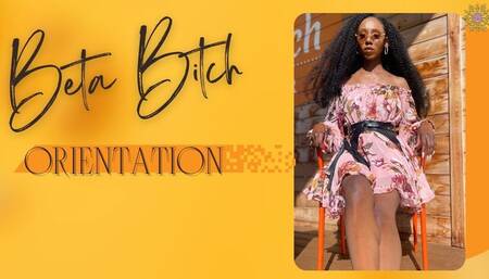 Beta Bitch Orientation