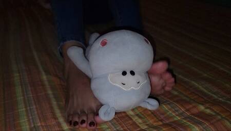 Teddy Smelling Fer´s Feet