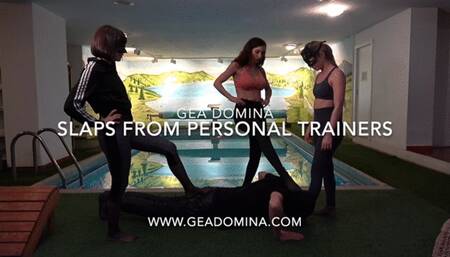 GEA DOMINA - SLAPS FROM PERSONAL TRAINERS (MOBILE)