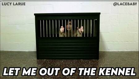 Let Me Out Of the Kennel