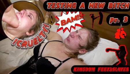 Testing a new bitch part 3 ( FULL HD MP4) (cruelty)