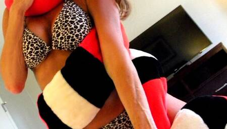 Trail of the Toymaster 21: Tenacious (starring Hollywood) (MP4)