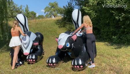 2 girls skunk bouncing