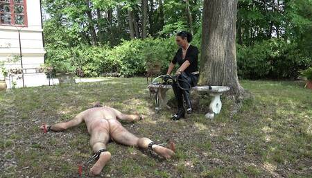 The Awkward Gardener II - Chapter THREE