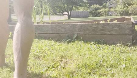 Tempest at community garden