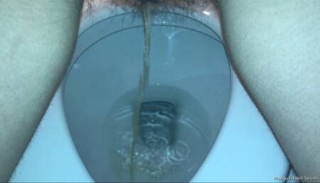 What Happens in the Ladies Room Part Three HD