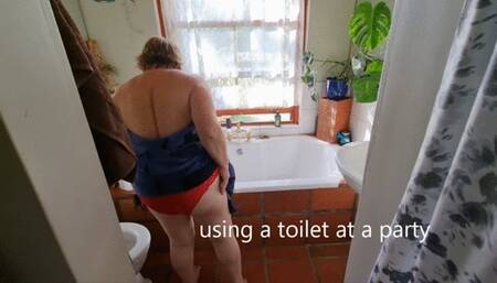 Titillating toilet collection no 13