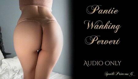 Pantie Wanking Pervert - Audio Only