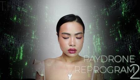 PAYDRONE REPROGRAM 2