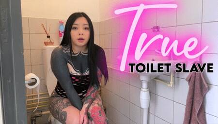 True Toilet Slave