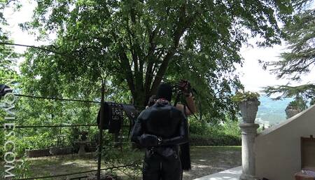 The Stud Stallion - Chapter THREE