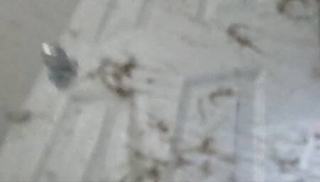 Tiny Human Struggles to Survive inside Giantess Vicious Vacuum POV 4k