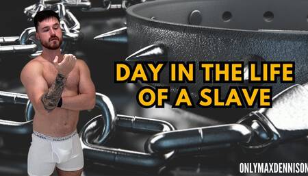 Day in the life of a gay slave