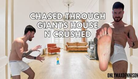 Macrophilia - chased through the giant house and crushed