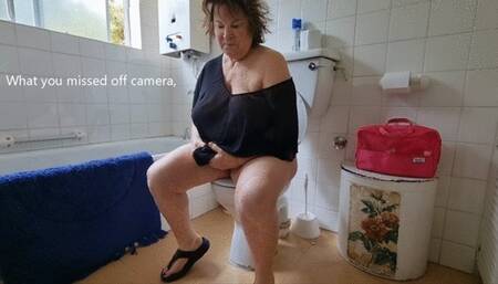 Camilla s titillating toilet collection 14